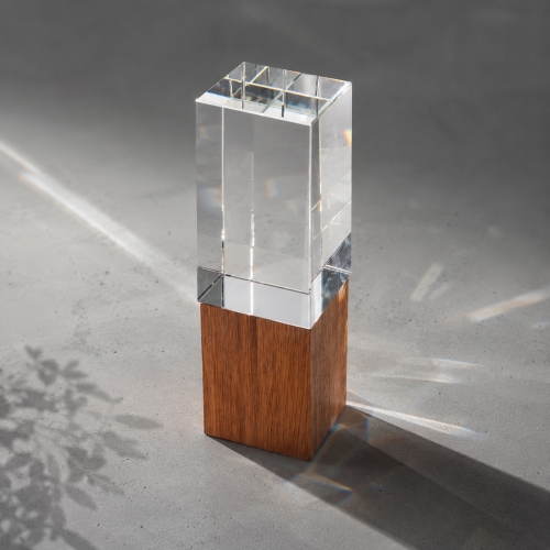 Награда «Wood and glass»