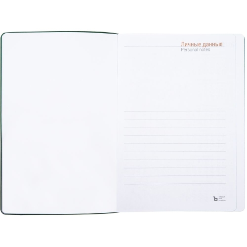 Ежедневник Flexpen Color, датированный, синий — вариант цвета