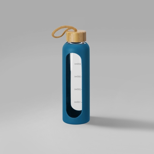 Бутылка из боросиликатного стекла «Hangy», 550 мл