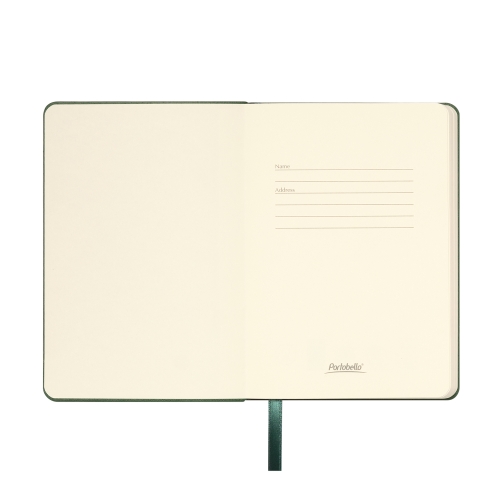 Ежедневник Спарк мини (Spark mini) A6 недатированный, зеленый