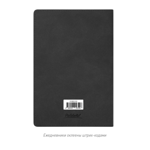 Ежедневник Теоло (Teolo) недатированный, черный