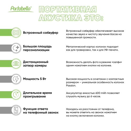Беспроводная колонка Пэшн (Passion) 80dB 600 mAh (Bluetooth 5.4), синяя