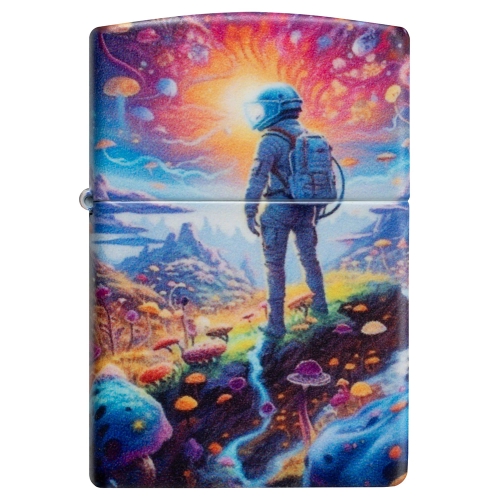 Зажигалка ZIPPO Mushroom Forest Design с покрытием 540 Matte, латунь/сталь, разноцветная, матовая, 3
