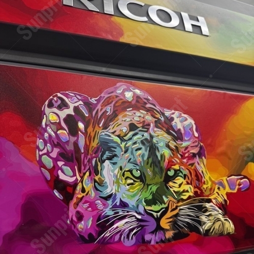 Ricoh Pro C9500 и электрофотография: как устроена машина и откуда взялась технология