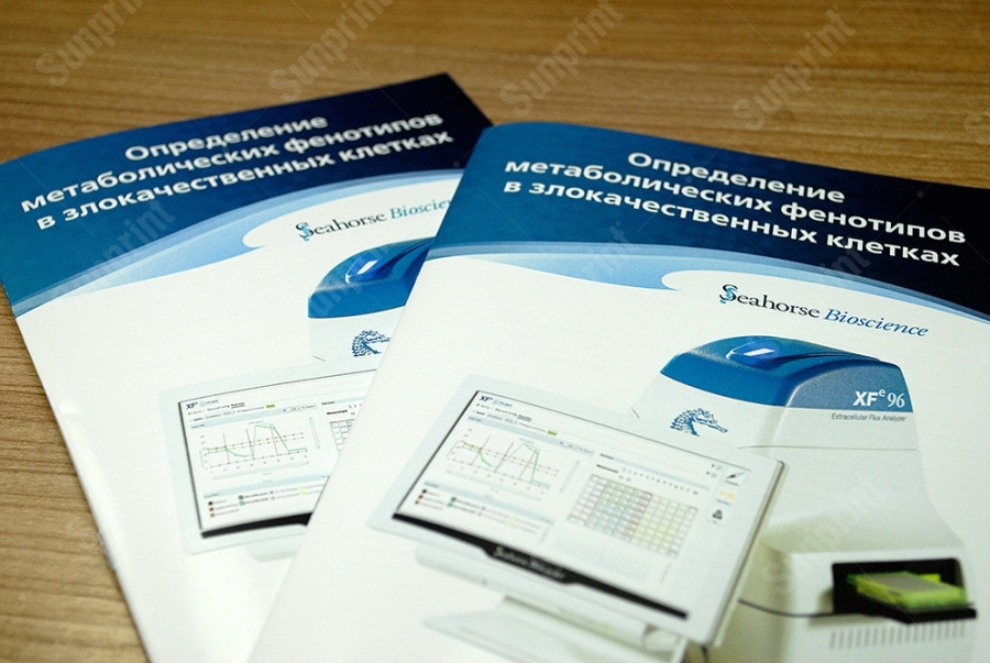 печать буклетов