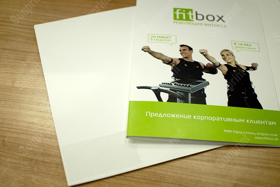 папка с прозрачными карманами